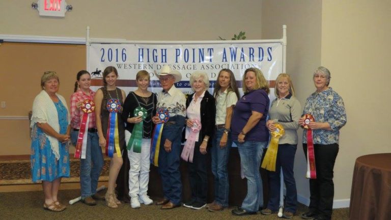 2017 WDAFL High Point Awards