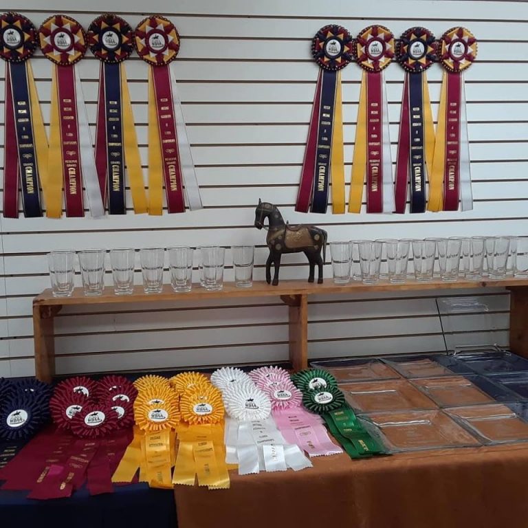 2018 WDAFL Championships Show Results