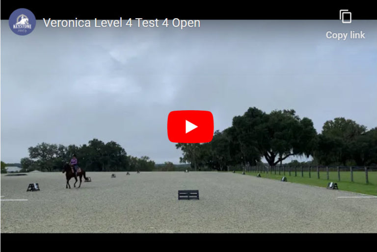 Video – Level 4 Test 4