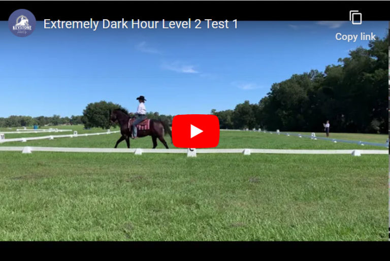 Video – Level 2 Test 1