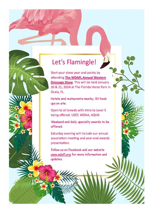 Let’s Flamingle!